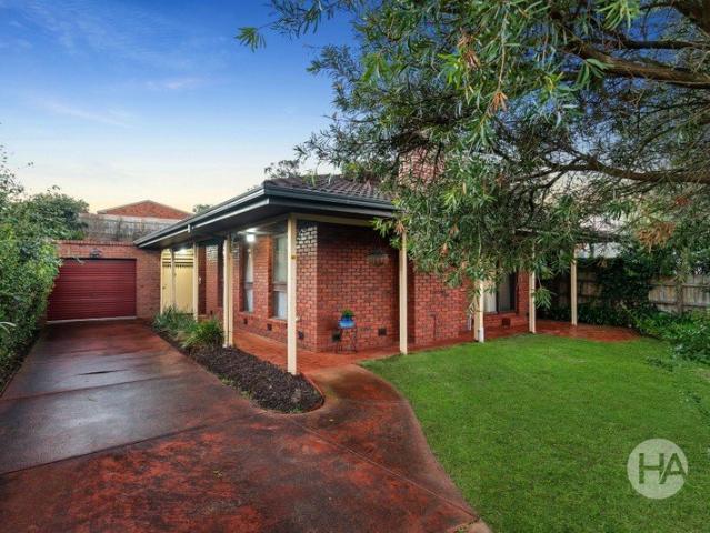 Classic Home with Great Potential