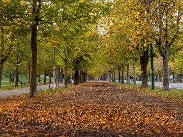 Schnirchgasse, KG Landstraße, Wien - Schwimmbad
