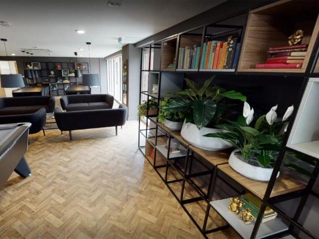 Classic Plus Studio