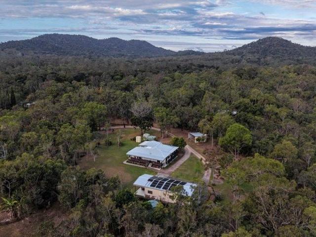 Classic Queenslander on Usable Acreage