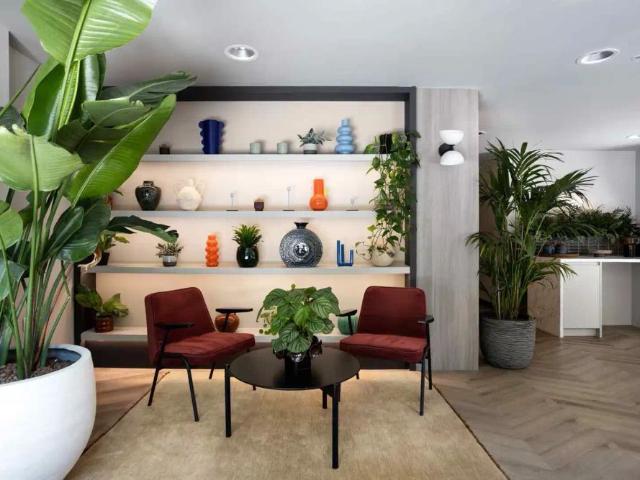 Classic Studio