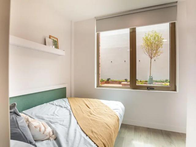Classic Studio at Promenade Student. Studio to rent £1,235 pcm £285 pw