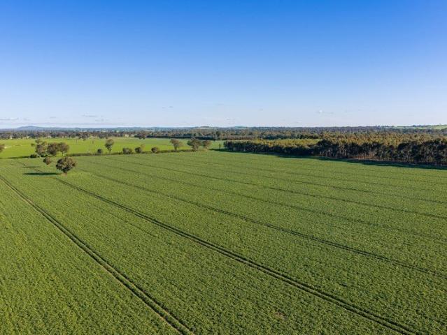 'Cleveland' A Highly Productive Mixed Farming Opportunity
