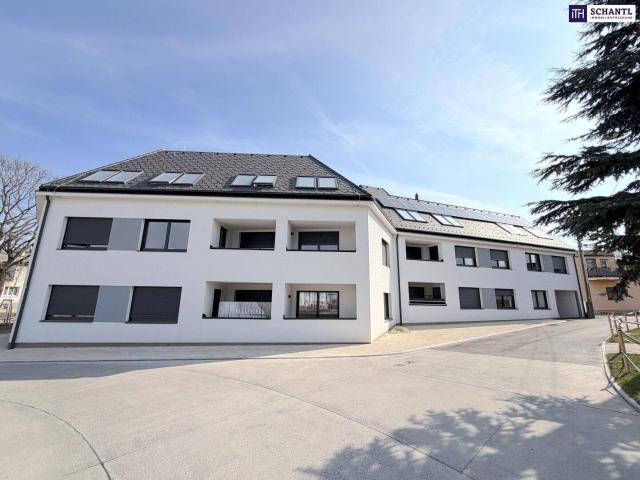 Clever wohnen im Grünen – Moderne Anleger oder Singlewohnung im 22. Bezirk