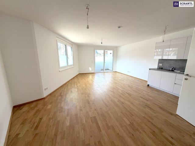 Clever wohnen im Grünen – Moderne Anleger oder Singlewohnung im 22. Bezirk