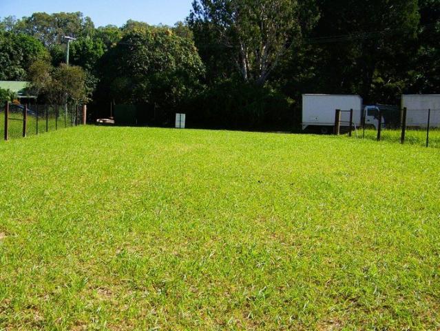 Cleared, Fenced & Ready Your Lamb Island Dream Starts Here!