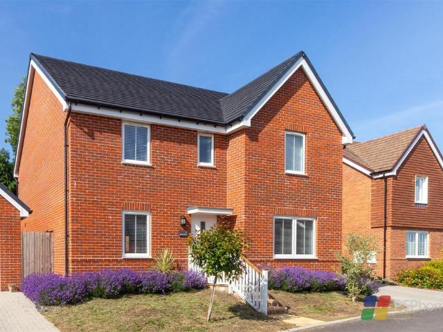 Clementina Crescent, Haywards Heath 5 bed detached house to rent £2,950 pcm £681 pw