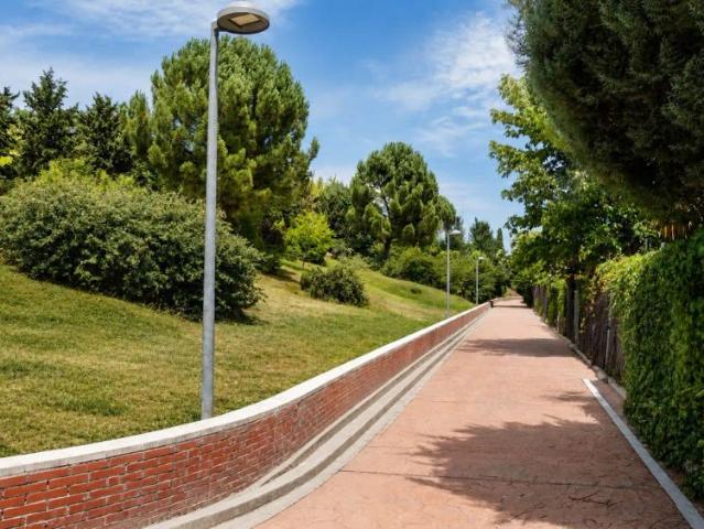 Club De Campo