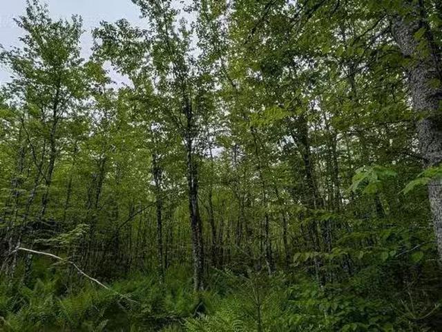 Cm2J Lot Cm2J Mckenzie Lane, Mount Uniacke, NS, B0N 1Z0 vaca.