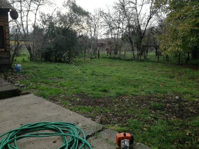 C/S AMOBLAR CASONA FRENTE RIO TOLTEN $450