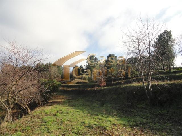 CP110