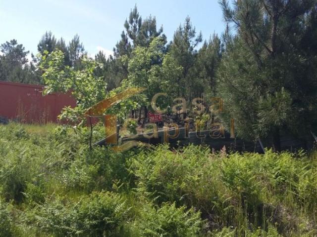 CP112
