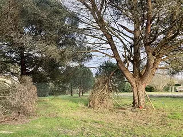Croignon 33750 Programme neuf maison neuf à vendre 4 pièces