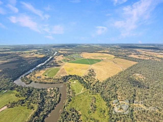 Vertical Integration Opportunity Feedlot, Water, Cropping