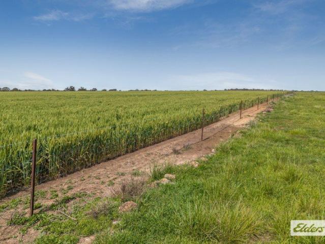 Cropping & Grazing, 101.37 Ha 250.5 Ac