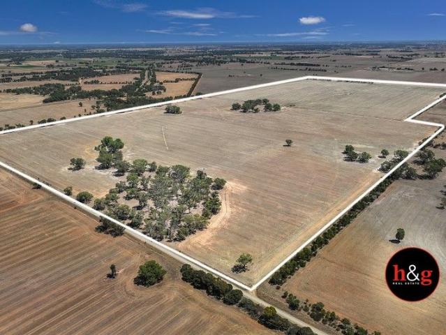 Cropping Land Nathalia