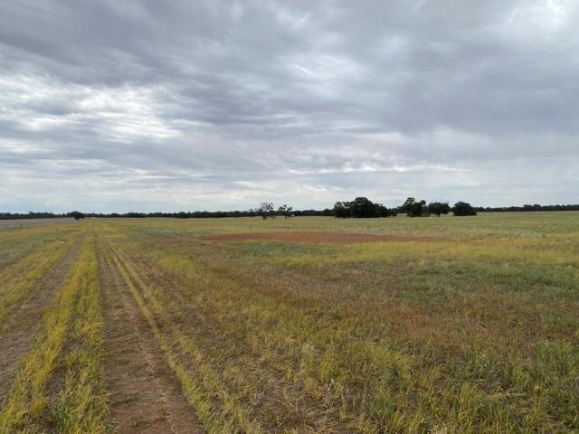 CROPPING LAND RICH AVON EAST