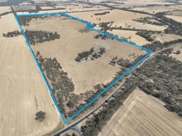 AUCTION Friday 10th April 2026 11am ONSITE Cropping outblock