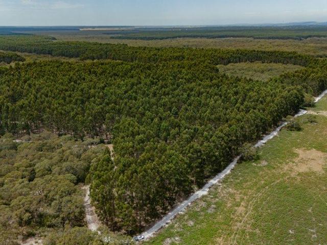CROSER | WATTLE RANGE ROAD, WATTLE RANGE, SA