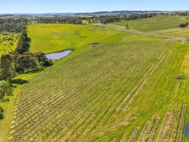 Cracking Location, New Subdivision