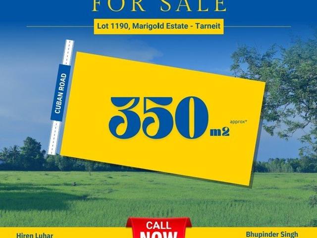 Create the Life You Want Land for Sale in Peaceful Community
