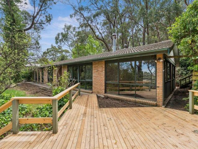 Create your dream amongst the treetops