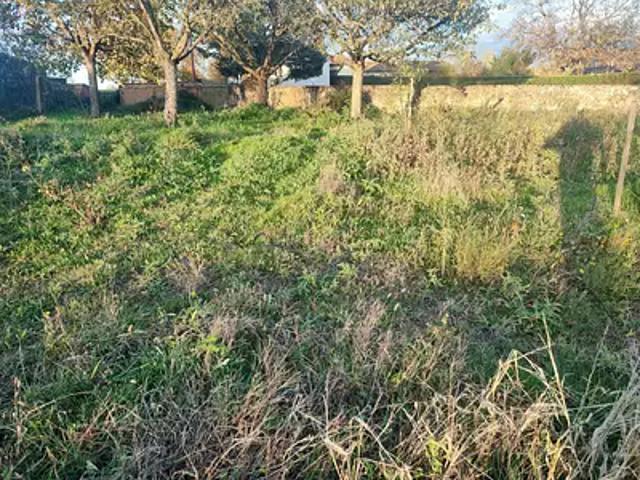 Crêches sur Saône 71680 Programme neuf maison neuf à vendre 5 pièces