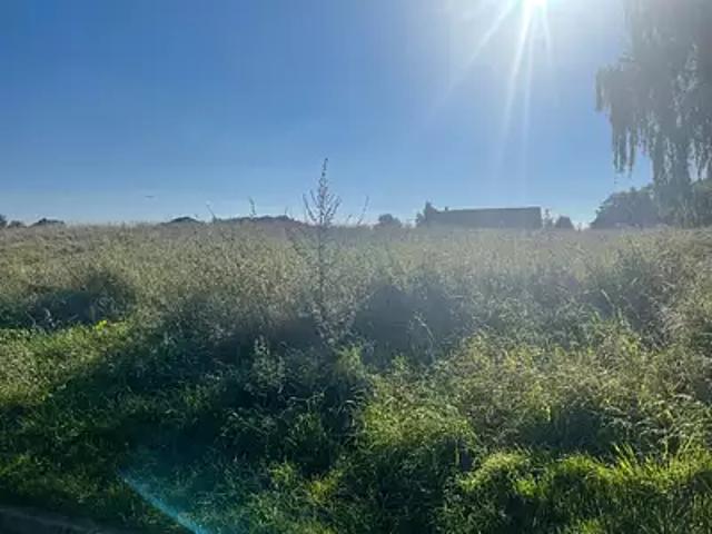 Crécy la Chapelle 77580 Programme neuf maison neuf à vendre 6 pièces
