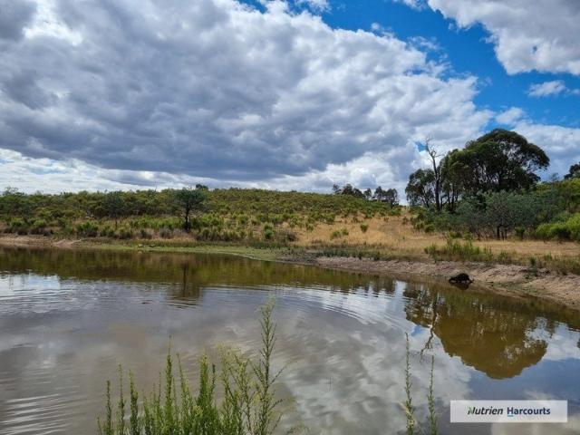 Creek, Bushland & 104 Acres of Escape