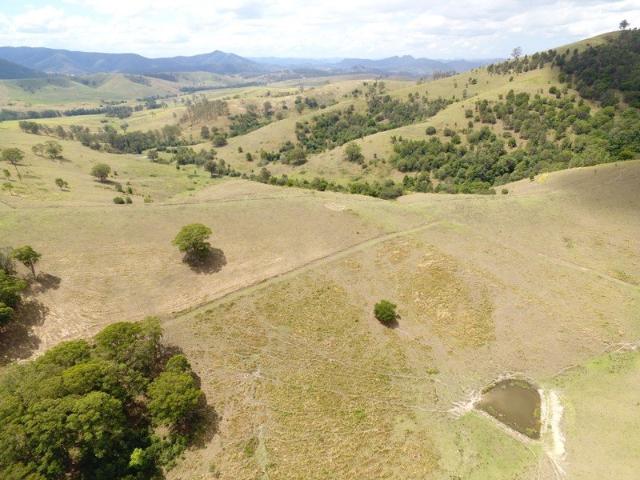 Creek Frontage Grazing Land