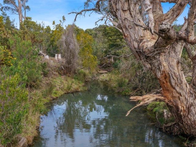 Creek, Pasture, Bush and Privacy