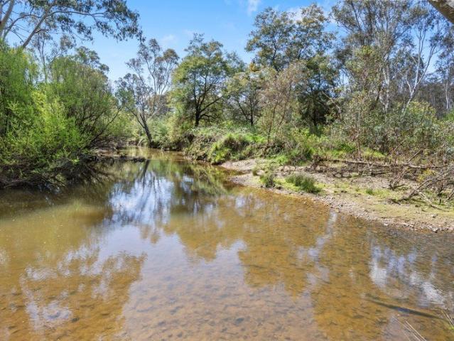 Creek Side Lot 2 63.2 Acres Approx Plus Creek Lease