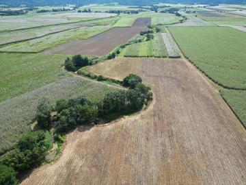 Creeks, Cane and Lifestyle