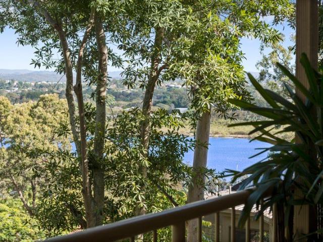 Creekside Calm on Currumbin Hill