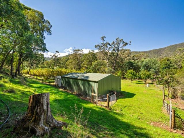 Creekside Lifestyle Block with Income Potential & Endless Adventure
