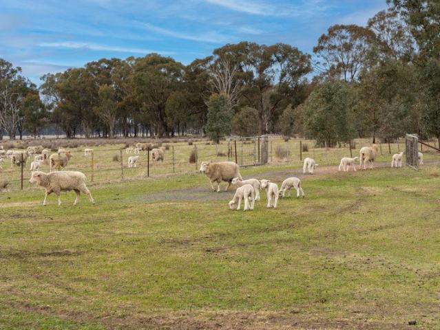 Creighton Farm Shearing & Machinery Shed, Power connected