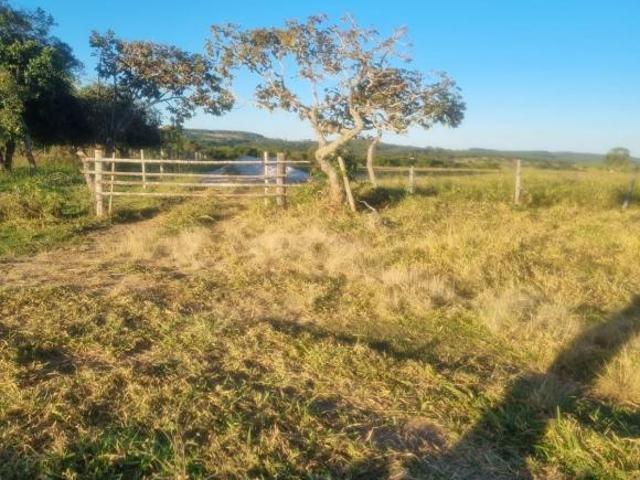 Cristianópolis 21 alqueires terra plaina dupla aptidão