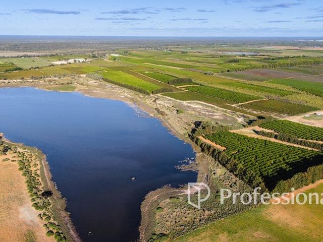 Crux Farms Versatile Citrus, Almond & Viticulture Enterprise 170.5Ha 421 Acres