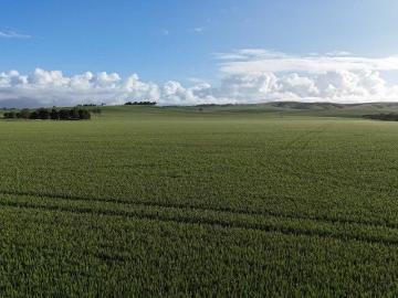 Crystal Brook, Port Pirie, Wandearah East