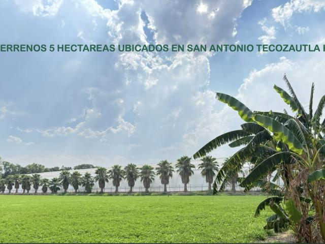 CTVF TERRENO EN VENTA USO AGRÍCOLA EN TECOZAUTLA HIDALGO