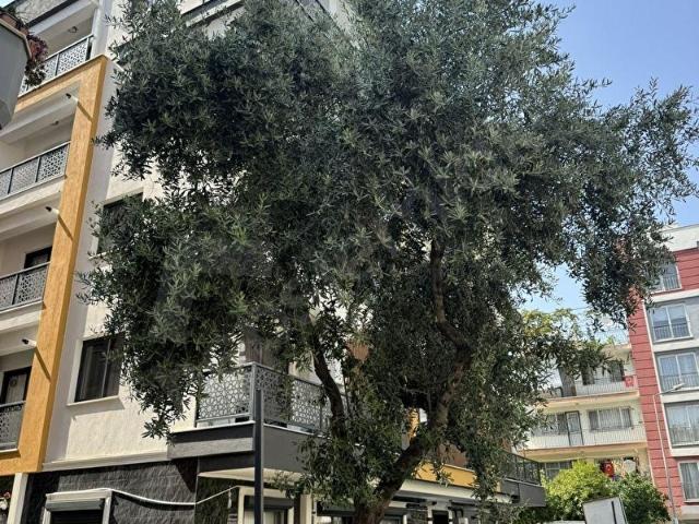 CUMHURIYET MAHALLESINDE SIFIR DOĞAL GAZI SATILIK 1 + 1 DAIRE