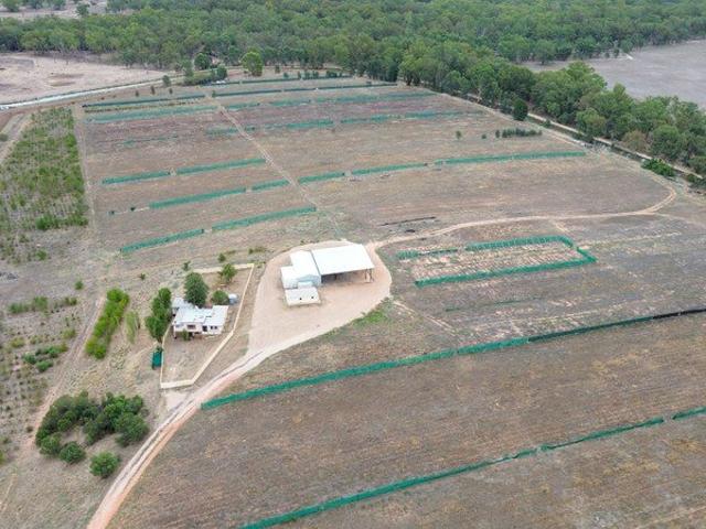 Cudgel Hill Nursery