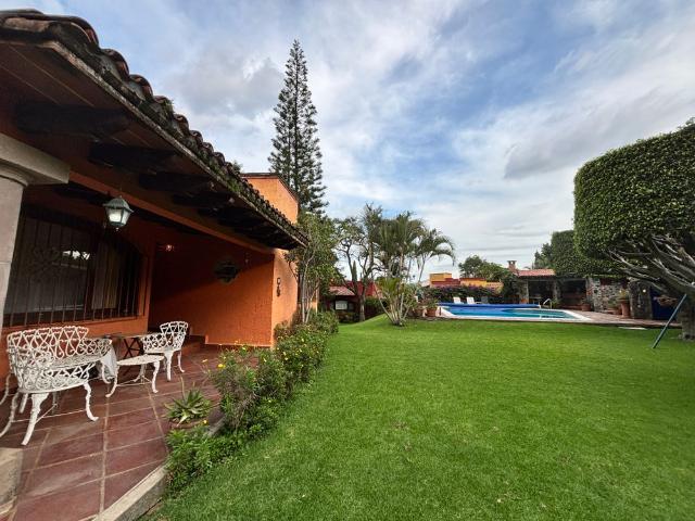 CUERNAVACA, LIRIO, Morelos