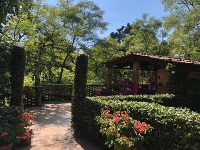 CUERNAVACA, UNA DELICIA DE VERDE