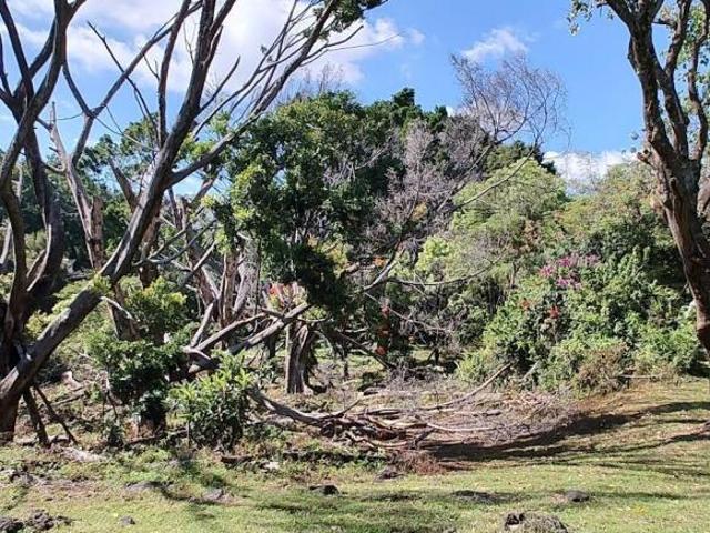 CUERNAVACA VENTA TERRENO 18,600 M2 ZONA NORTE CERCA GLORIETA TLALTENANGO