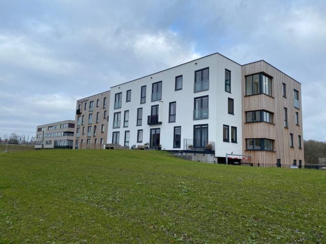 cultus 17 dronten