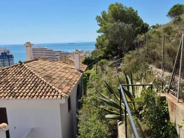 Cullera
