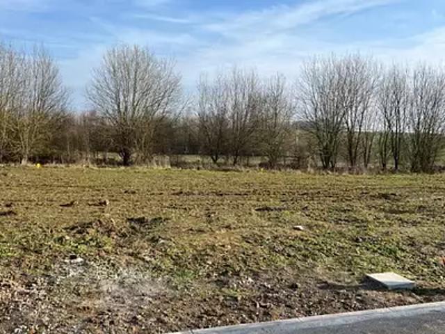 Curgies 59990 Programme neuf maison neuf à vendre 7 pièces