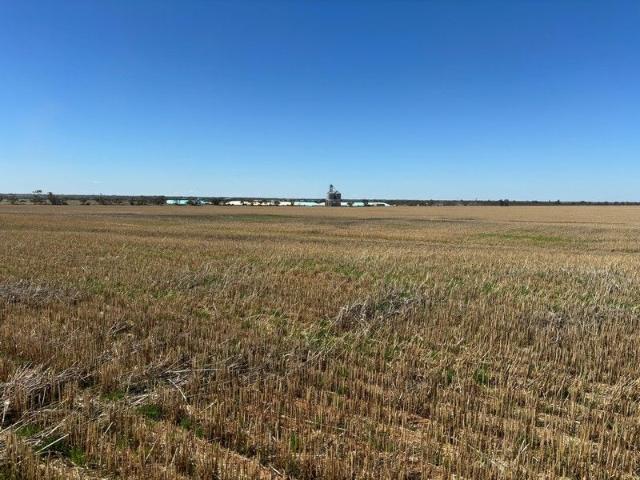'Curries' Broadacre cropping adjoining major grain delivery site