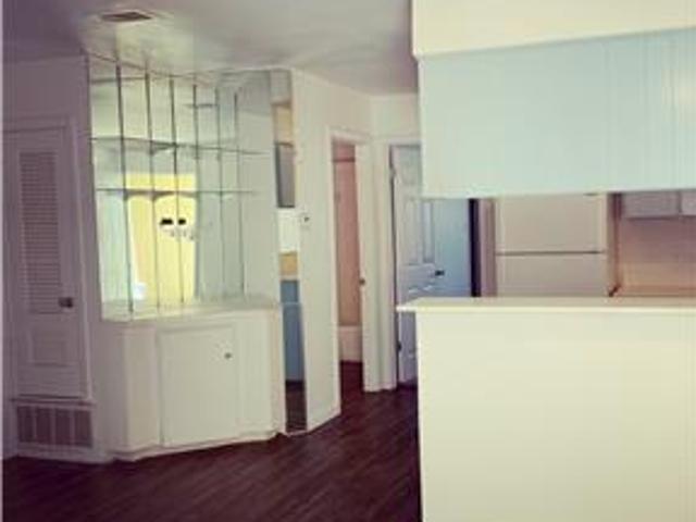 Cute one bedroom apartment